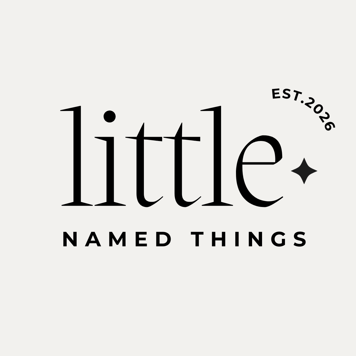 logo-little-named-things-large